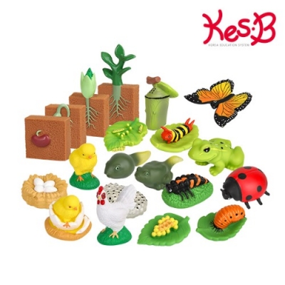 네이처 성장모형5종세트(2051)